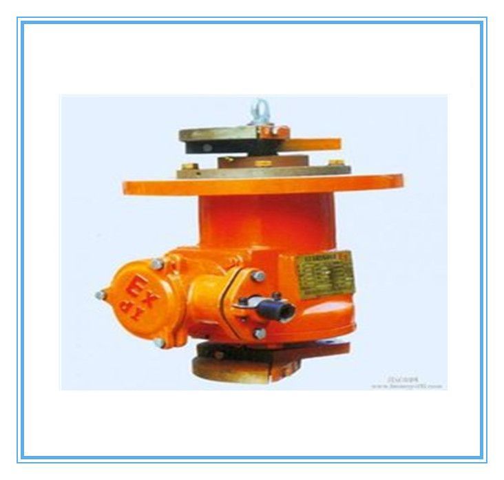 BZDL隔爆型系列立式振动电机